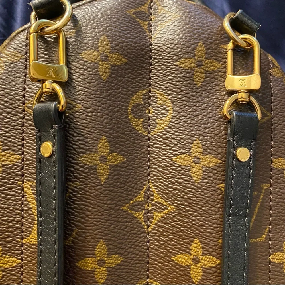 Louis Vuitton Palm Springs Backpack Mini Brown Canvas - Picture 5 of 15
